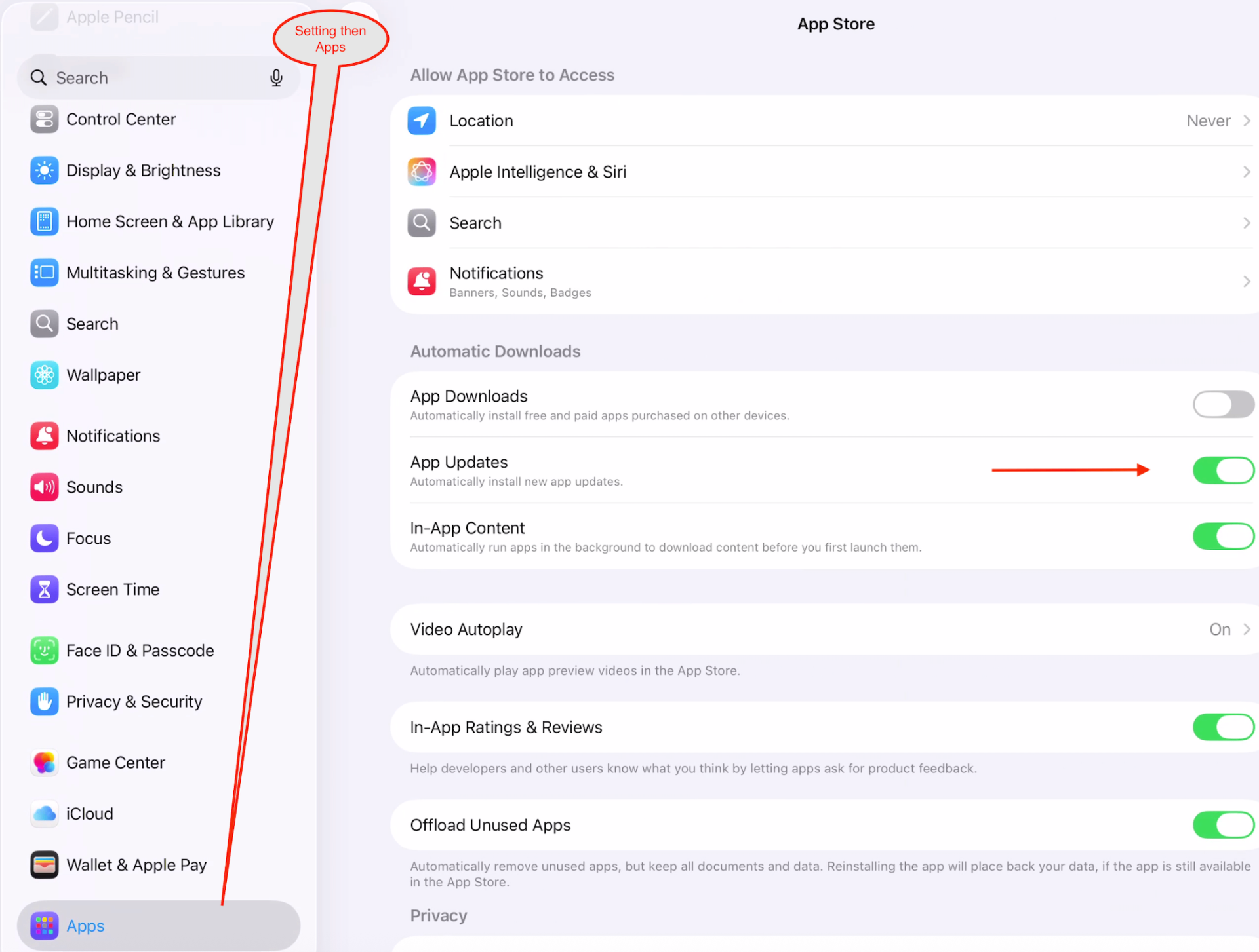 iPad Settings → Apps → App Store with App Updates toggle on